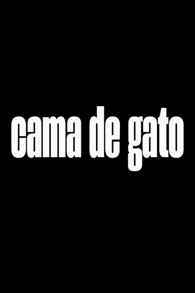 Póster de Cama de Gato