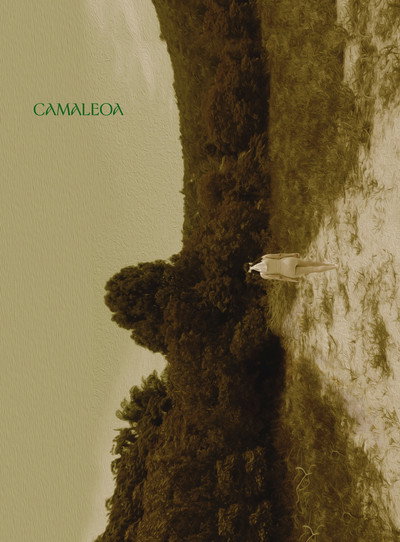 Póster de Camaleoa