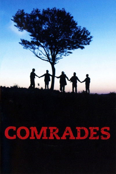 Póster de Camaradas