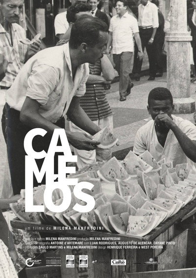 Póster de Camelôs