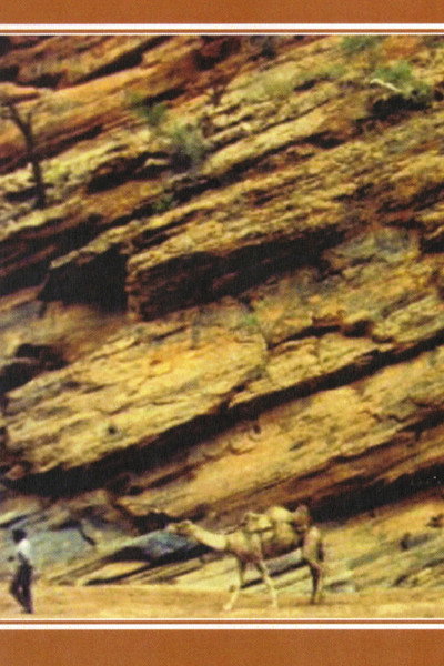 Póster de Camels and the Pitjantjara