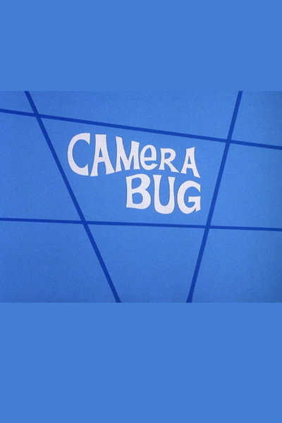 Póster de Camera Bug