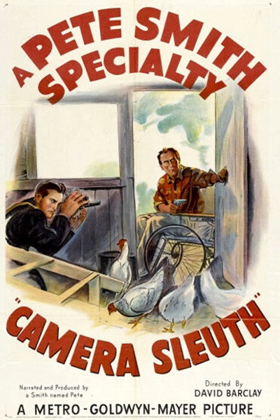 Póster de Camera Sleuth