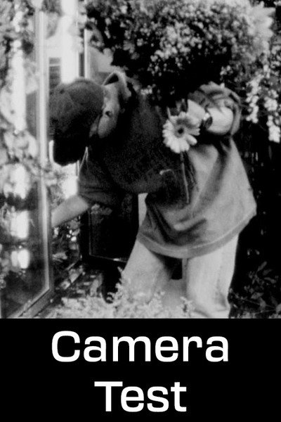 Póster de Camera Test