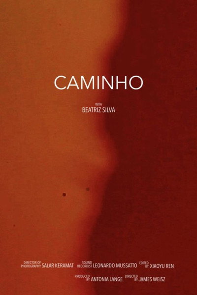 Póster de Camhino (The Road)