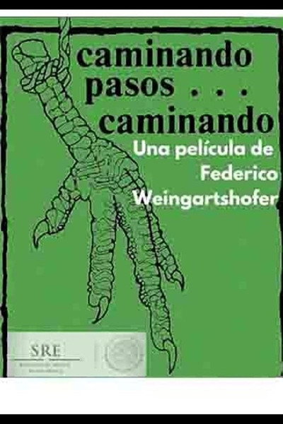 Póster de Caminando pasos... caminando