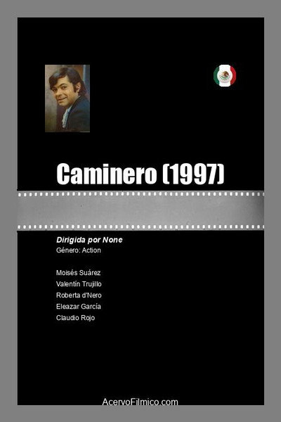 Póster de Caminero