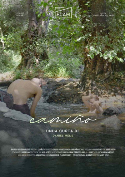Póster de Camiño