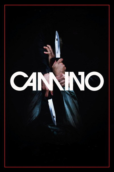 Póster de Camino