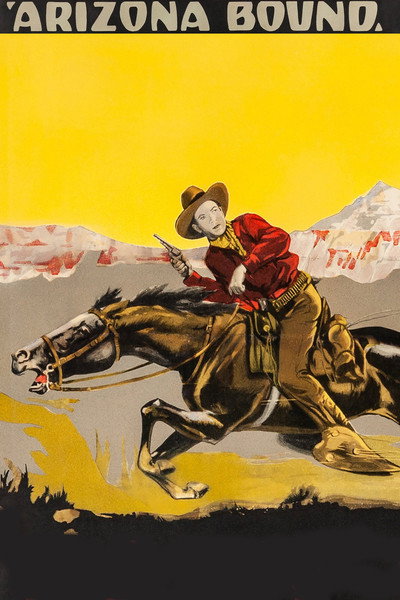 Póster de Camino de Arizona