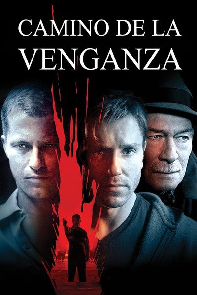 Póster de Camino de la venganza