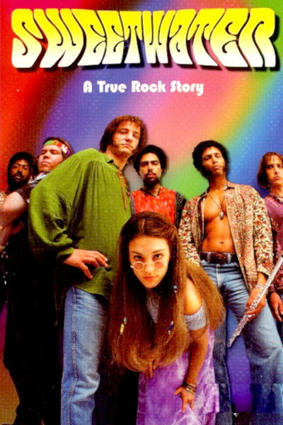 Póster de Camino Hacia Woodstock