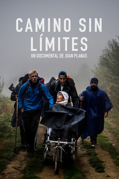 Póster de Camino sin Límites