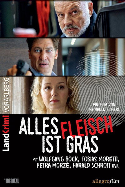 Póster de Camouflage (2014)