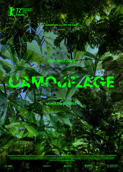 Póster de Camouflage