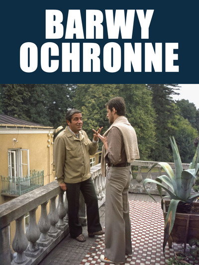 Póster de Camouflage