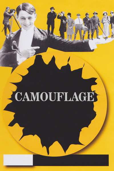 Póster de Camouflage