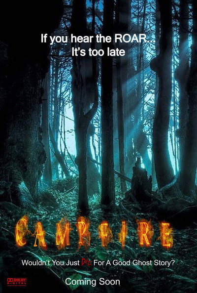 Póster de CAMPFIRE