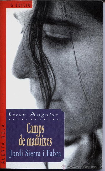 Póster de Camps de maduixes