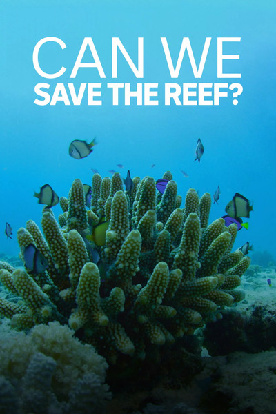 Póster de Can We Save the Reef?