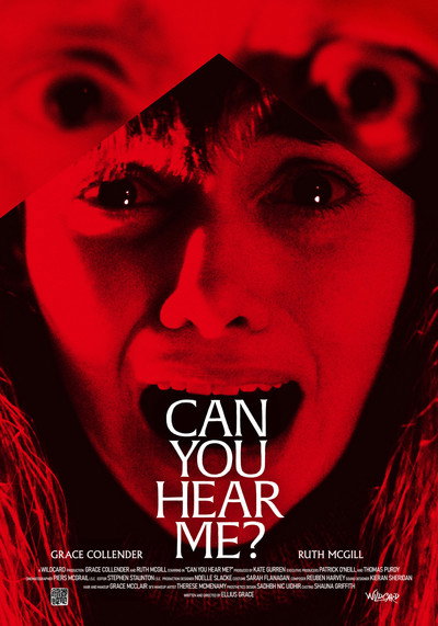 Póster de Can You Hear Me?