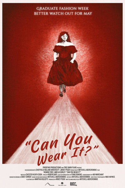 Póster de Can You Wear It?