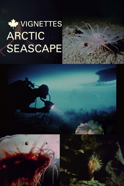 Póster de Canada Vignettes: Arctic Seascape