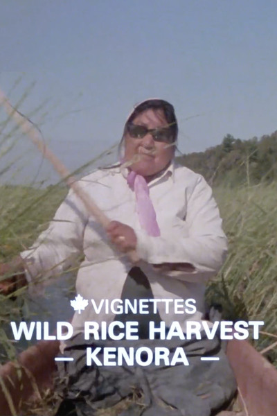 Póster de Canada Vignettes: Wild Rice Harvest Kenora