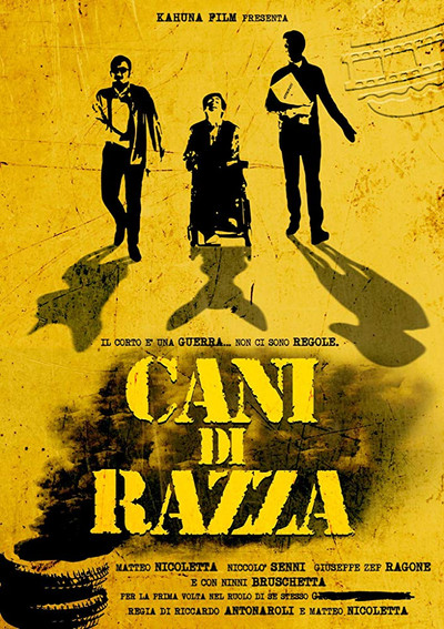 Póster de Cani di razza