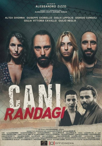 Póster de Cani randagi