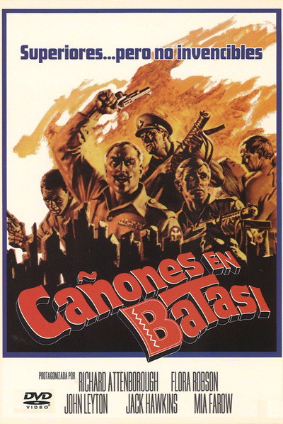 Póster de Cañones en Batasi