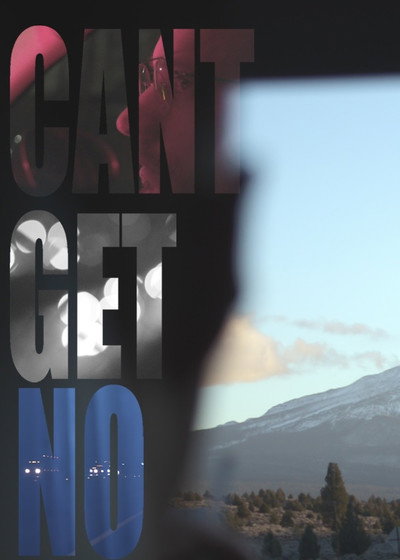 Póster de Cant Get No