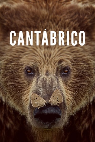 Póster de Cantábrico: Los dominios del oso pardo