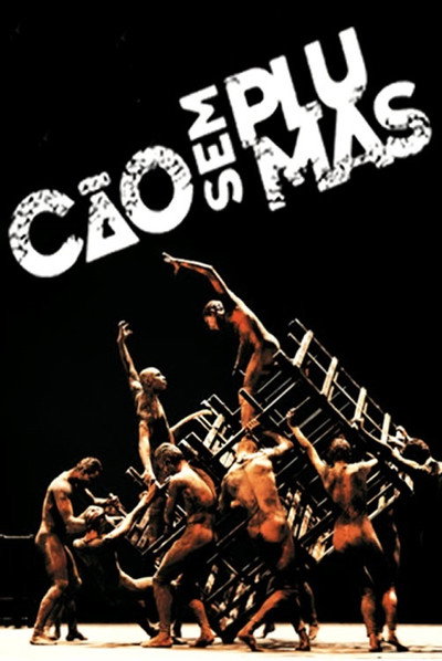 Póster de Cão sem Plumas