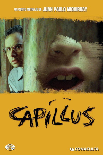 Póster de Capillus