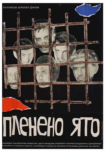Póster de Captive Flock