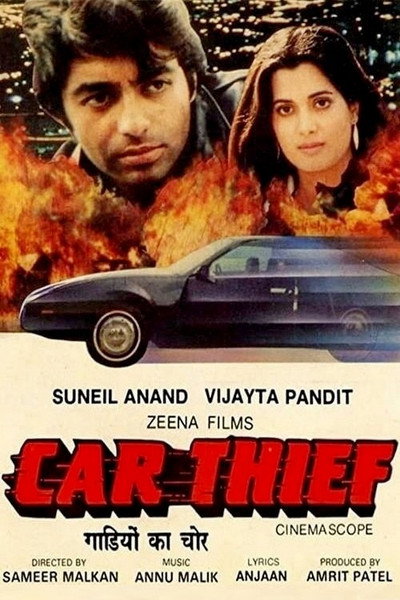 Póster de Car Thief