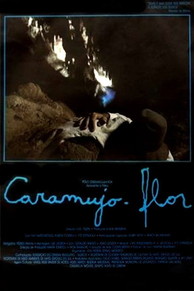 Póster de Caramujo-flor