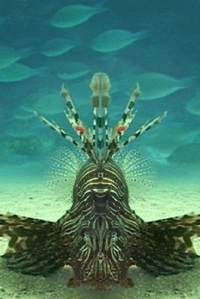 Póster de Careless Reef