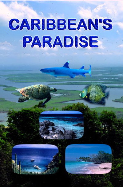 Póster de Caribbean's Paradise