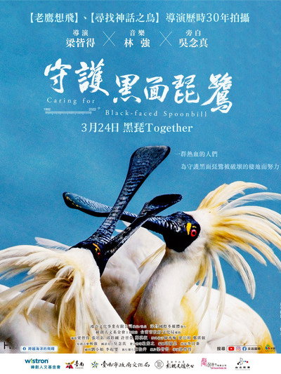 Póster de Caring for Black-Faced Spoonbill