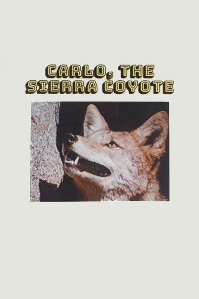 Póster de Carlo, the Sierra Coyote