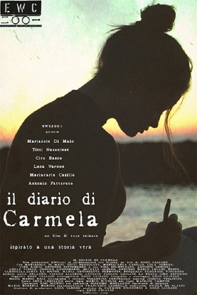 Póster de Carmela's diary