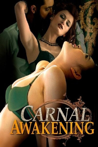 Póster de Carnal Awakenings