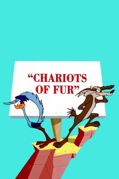 Póster de Carros de pelos
