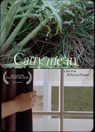 Póster de Carry me in