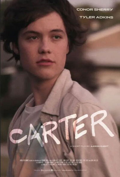 Póster de Carter