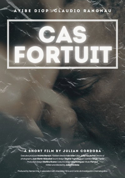 Póster de Cas Fortuit