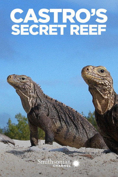 Póster de Castro's Secret Reef