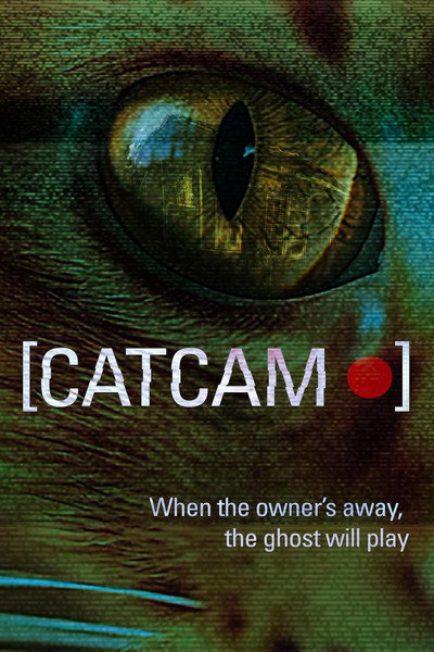Póster de Cat Cam